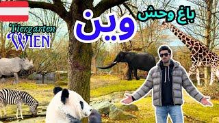 Tiergarten Schönbrunn wienباغ وحش زیبای  وین در اتریش؛ قدیمی ترین باغ وحش دنیا، ولاگ اتریش و اروپا