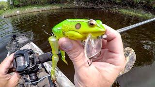 Fishing With Freddy The Frog