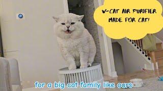 Breath Better New Air Purifier for Cats at Home