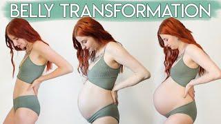 PREGNANCY TRANSFORMATION  Week By Week Belly Growth