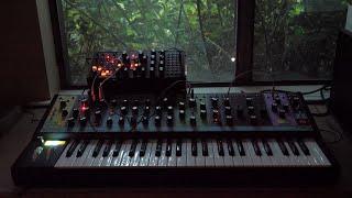 Moog Matriarch and Subharmonicon Generative Ambient Dusk