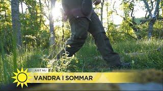 Hon är expert på vandring – här är tipsen för nybörjare  - Nyhetsmorgon TV4