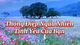 Thông Điệp Ngẫu Nhiên Tình Yêu Của Bạn?