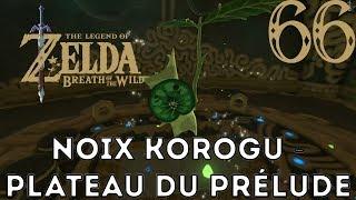 Breath of the Wild #66  Noix Korogu 115 - Plateau du Prélude