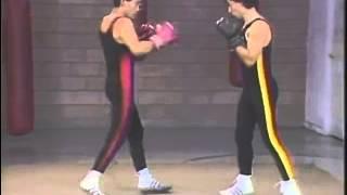 Mastering Savate 2 - Fundamental Techniques