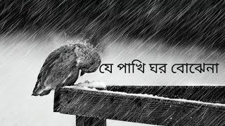 je pakhi ghor bojhena - lyrics  যে পাখি ঘর বােঝেনা -Soft Lyrics  Sudhu Tomar Jonno Dhruba 