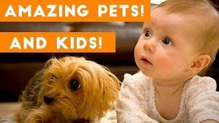 Most Amazing 1 Hour of Cute Kids And Pets 2018  Funny Pet Videos