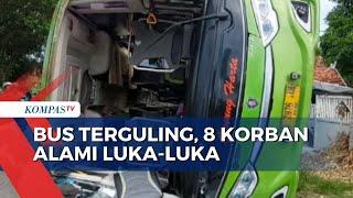 Kecelakaan Bus di Jalan Nasional Sumenep 8 Orang Luka-Luka Termasuk Sang Sopir