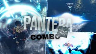 Proficiency Pantera Combos Pt.2  TypeSoul