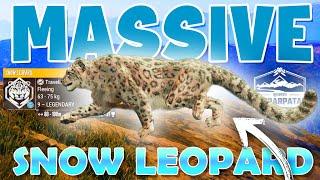 Tracking a 9 Legendary SNOW LEOPARD in Sundarpatan - Call of the Wild