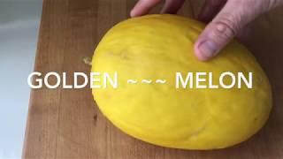 Golden Sweet Melon - YouTube Review