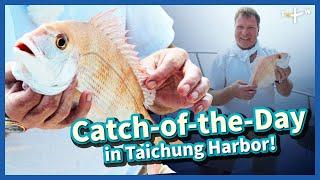 Fishing in a Secret Spot off the Shore of Taichung｜EP. 41｜Happy Fisherman