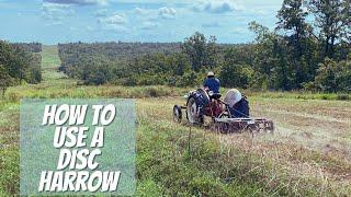 How To Disc Harrow A Field On A 1952 Ford 8N Tractor Deer Food Plot 2021 Whitetail Deer Season