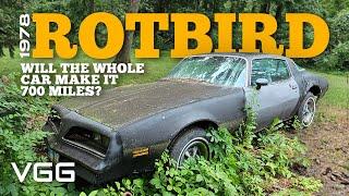 Will it RUN AND DRIVE 700 Miles Home? RUSTIEST Forgotten Firebird EVER