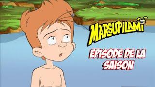Marsupilami - épisode de la saison 1  EP17-20 épisode complet