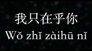 鄧麗君／Teresa Teng：【我只在乎你】時の流れに身をまかせ KTV with Pinyin