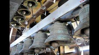 stichting Carillon Den Haag Live Stream