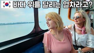 바다 위를 달리는 열차 를 처음 타본 마케도니아 장모님 반응? 바다 위를 달리는 열차 여행 한국여행