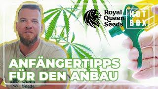 So ziehst du deine ersten Pflanzen hoch Tipps von Royal Queen Seeds Grower Sebastian