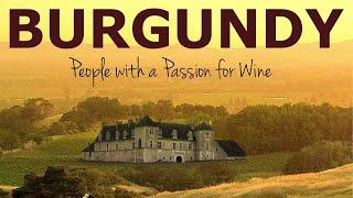 Burgundy People With A Passion For Wine  Wine-making  Full Documentary