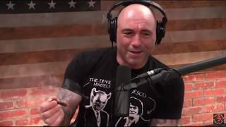 Joe Rogan Shows Off Mike Tysons Weed Box Tyson Ranch edition huge Joints on JRE clips