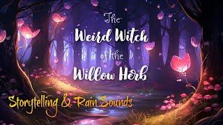 Peaceful Story with Rain Sounds for Sleep  THE WEIRD WITCH OF THE WILLOW HERB