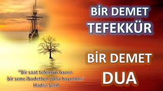 Bir Demet Düşünce ve Bir Demet Dua #dua #tefekkür #prayer #thinking