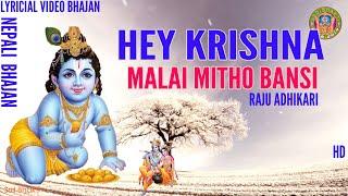 Hey Krishna Malai Mitho Bamsi Lyrical Video - Raju Adhikari Nepali Bhajan  Srd Bhakti Bhajan
