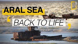 Aral sea  The difficult return of water