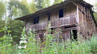 A poor girl clears Weeds and Renovates Her old house  She will live in the Forest