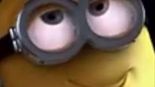 sus minion