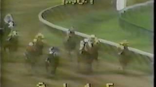 1980 Travers Stakes - Temperence Hill