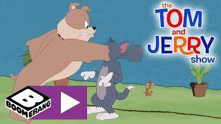 The Tom and Jerry Show  A Treehouse Divided  Boomerang UK