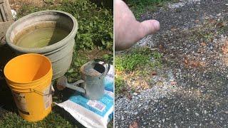 VERY low cost effective method for “killing weeds” high concentration salt water