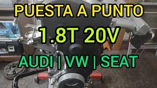 DISTRIBUCION COMPLETA  Puesta a Punto Motor 1.8T 20V Audi  Volkswagen  Seat 🪛️