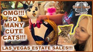 OMG SO MANY CUTE CATS LAS VEGAS ESTATE SALES Join the Journey on Picker Road