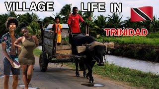 OMG Village Life in Trinidad & Tobago is NOT What you Think 