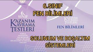 6.Sınıf Fen Bilimleri Meb Kazanım Kavrama Testi 5 Solunum ve Boşaltım Sistemleri 2022