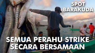 SPOT BARAKUDA BABON TERBAIK DI MUKA BUMI