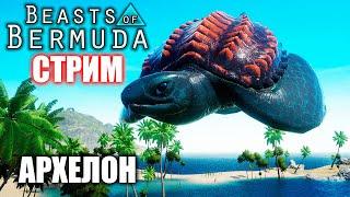 ЧЕРЕПАХНУТЫЙ СТРИМ ► АРХЕЛОН  BEASTS OF BERMUDA