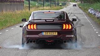 Ford Mustang 5.0 V8 Royal Crimson GT Performance - BURNOUT & SOUND