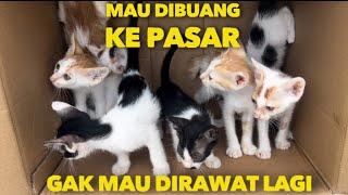 MEREKA MAU DIBUANG KE PASAR KALAU GAK ADA YANG RAWAT