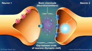 Understanding the chemistry of the brain