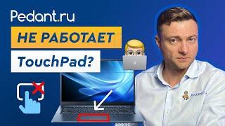 Тачпад на ноутбуке не работает?  6 способов решения проблемы с TouchPad.