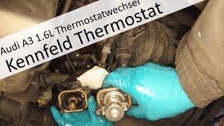 Kennfeldgesteuertes Thermostat wechseln am Audi A3 16L