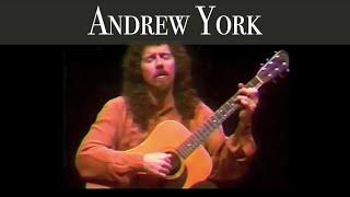 Andrew York - Sunburst