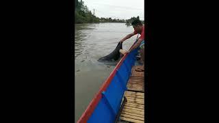 TEMUKAN mayat wanita terapung di sungai dan apa tulisan di telapak tangan nyah