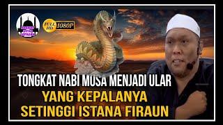 Ular Dari Tongkat Nabi Musa Setinggi Istana Firaun  Ustaz Auni