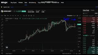 + 100  %  LIVE  Bitcoin Wizards WZRD  Price  - LIVE  WZRD NEWS -Bitcoin Wizards WZRD Price Chart