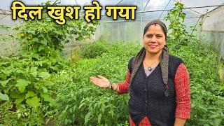 किचन गार्डन में ढ़ेर सारी ऑर्गेनिक सब्जियाँ  Pahadi Lifestyle Vlog  Priyanka Yogi Tiwari 